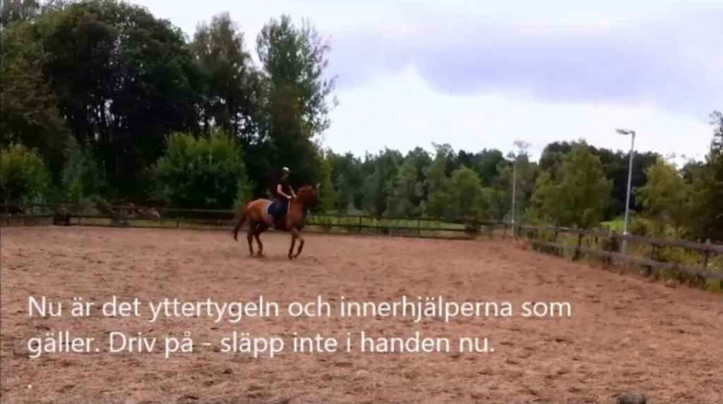 På flera ben