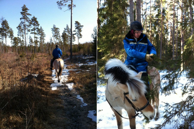 ridning i snö