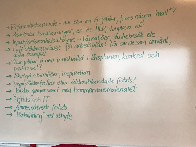 Likvärdighet på fritidshemmen