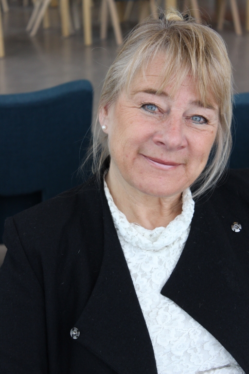 SOL i Värmland diskuterar lättläst med forskare