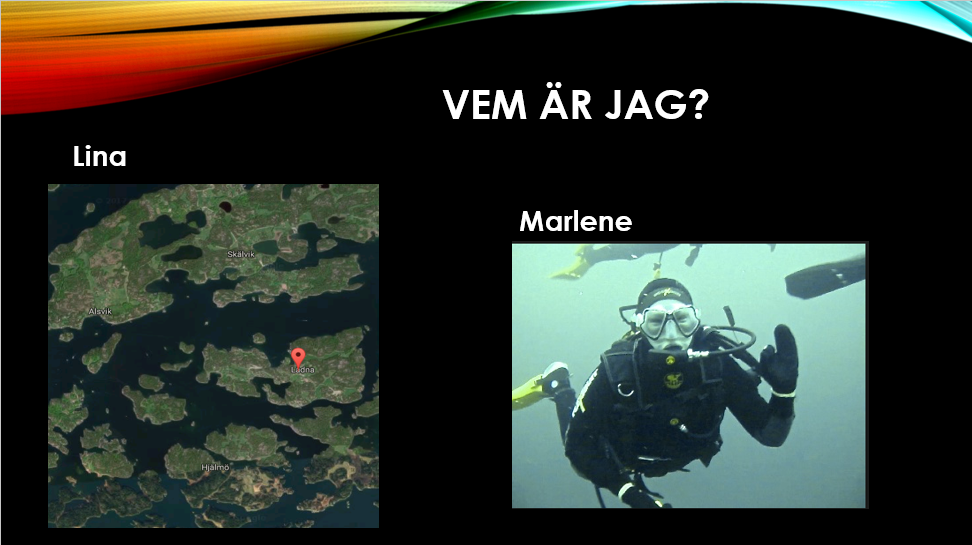 Vilka är vi?