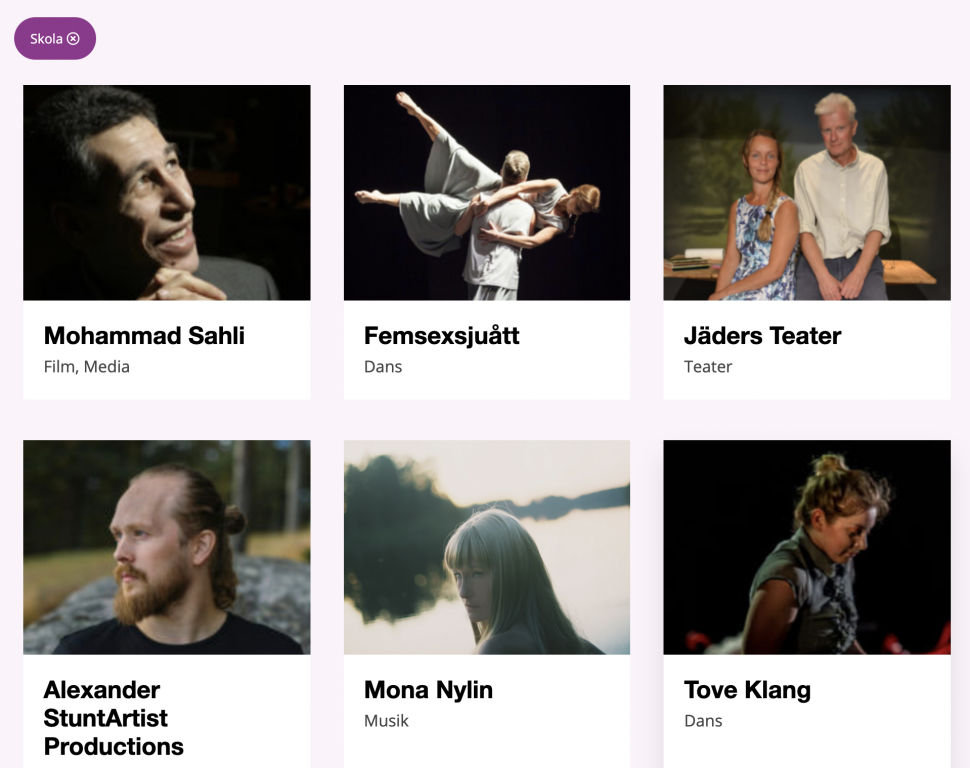 Olika artister i Kulturpoolen