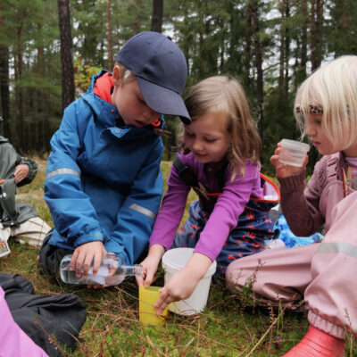 Barn i förskoleklass i skogen. En elev häller vatten från en flaska i en gul kopp som en annan elev håller i.
