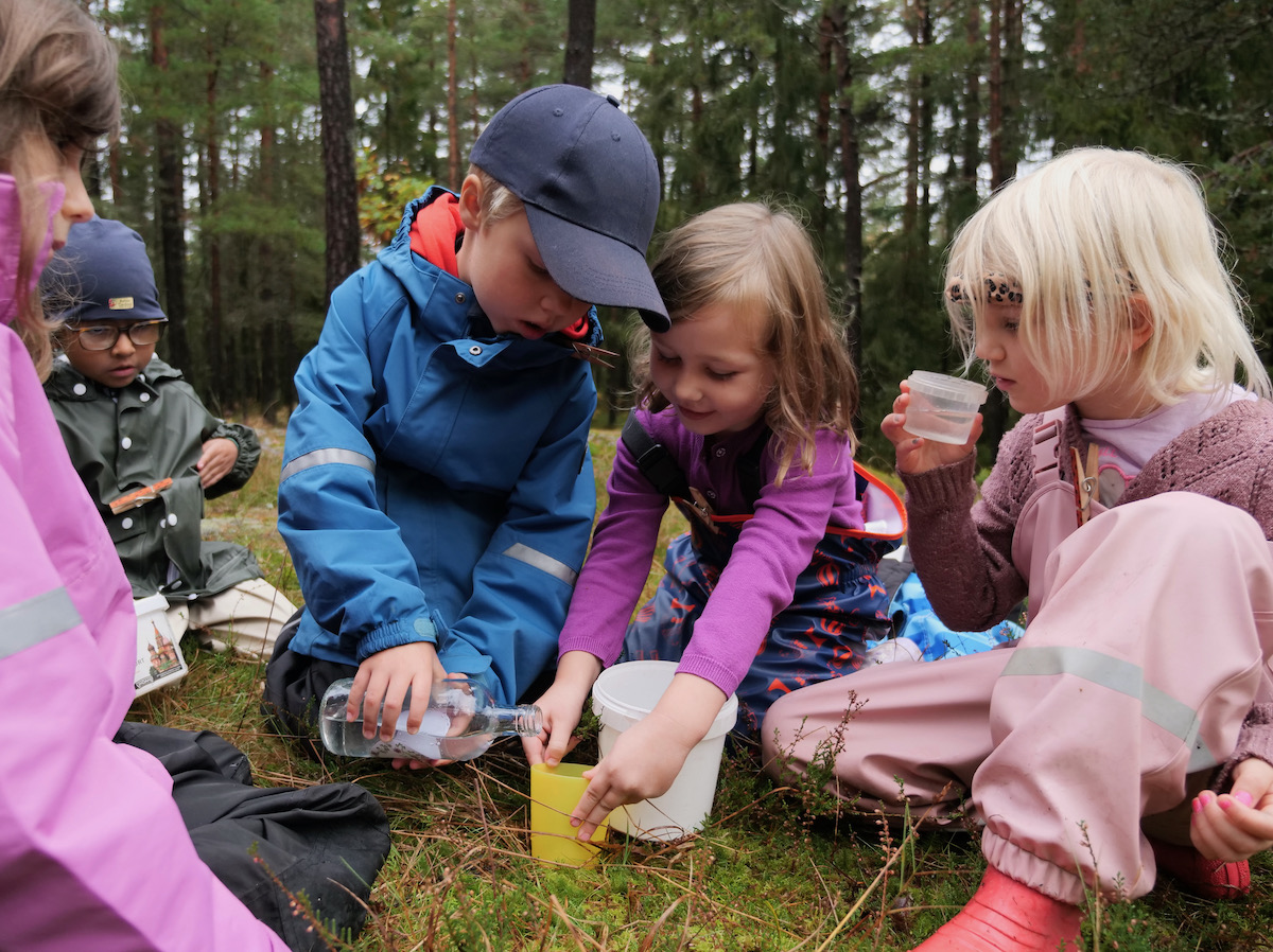 Barn i förskoleklass i skogen. En elev häller vatten från en flaska i en gul kopp som en annan elev håller i.