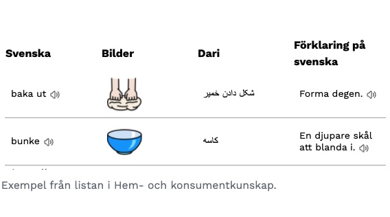 En dag med Pedagog Värmland och Skolord