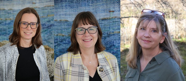 Marie Nilsberth, docent i pedagogiskt arbete, Ulrika Brolinson, adjunkt och doktorand i pedagogiskt arbete, Åsa Olsson, docent i pedagogiskt arbete